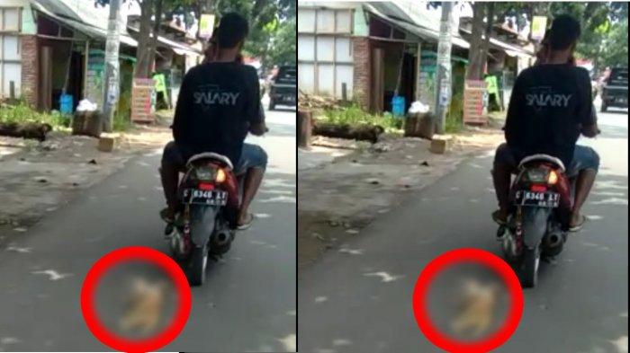 Kejam ! 2 Pemuda di Pekalongan Ikat Leher Kucing Kemudian Diseret Pakai Motor