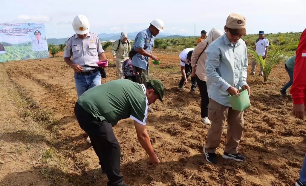 Ini Cara Pemprov Kalsel Dukung Swasembada Pangan